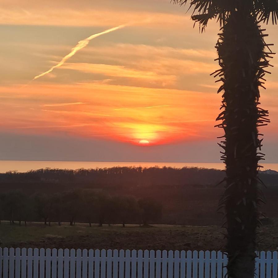 Vila Haus Sunshine Novigrad Istria Exteriér fotografie